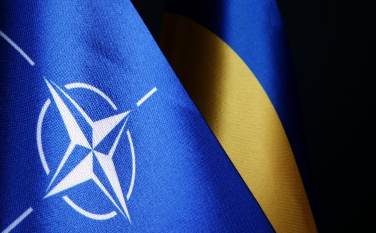  У Зеленского ответили, откажется ли Украина от пути в НАТО