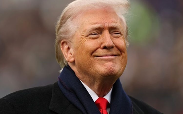 Восемь стран решили вступить в Совет мира Трампа