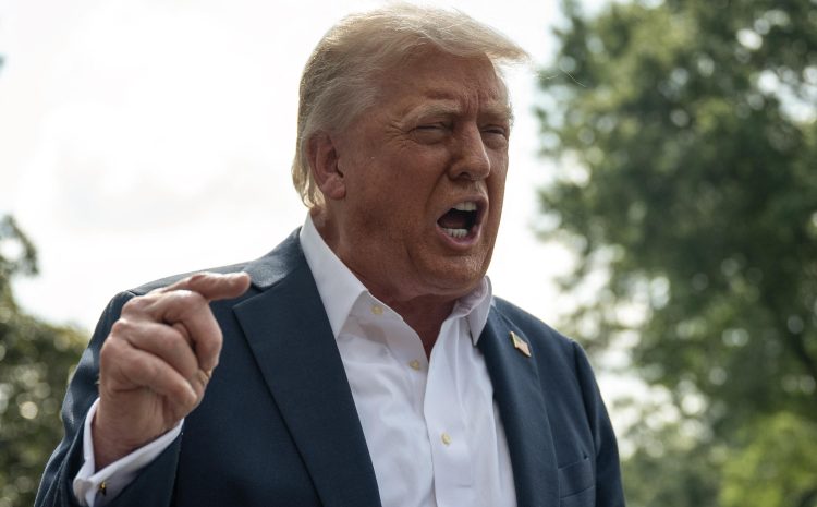  Трамп давит на Украину и хочет, чтобы война с РФ завершилась до лета: какова причина спешки, — NYT