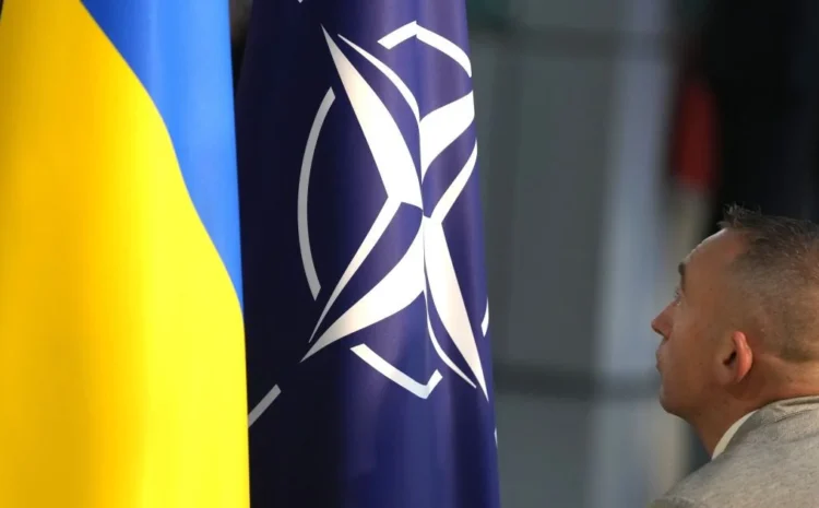  «Щит Европы»: Украину не принимают в НАТО из-за страха перед Кремлем— The Telegraph