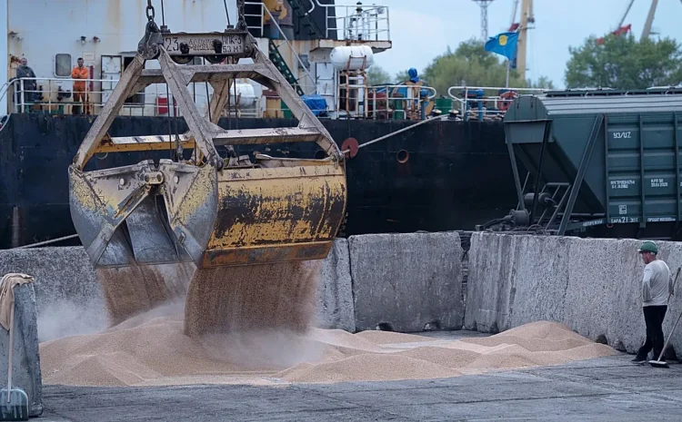  Украина требует от Израиля конфисковать судно с украденным Россией зерном, которое идет в Хайфу