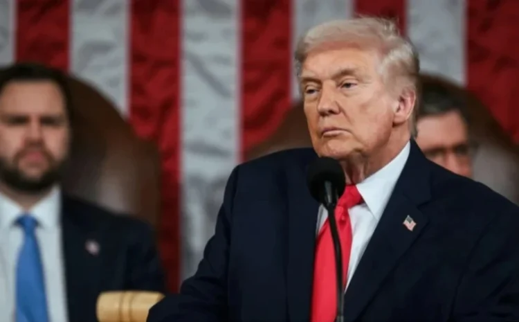  Трамп заявил, что США не следовало “лезть в Украину”