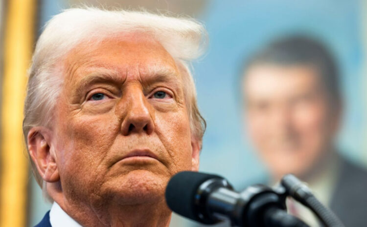  Трамп считает, что Зеленский и Путин теперь должны “сами разбираться”