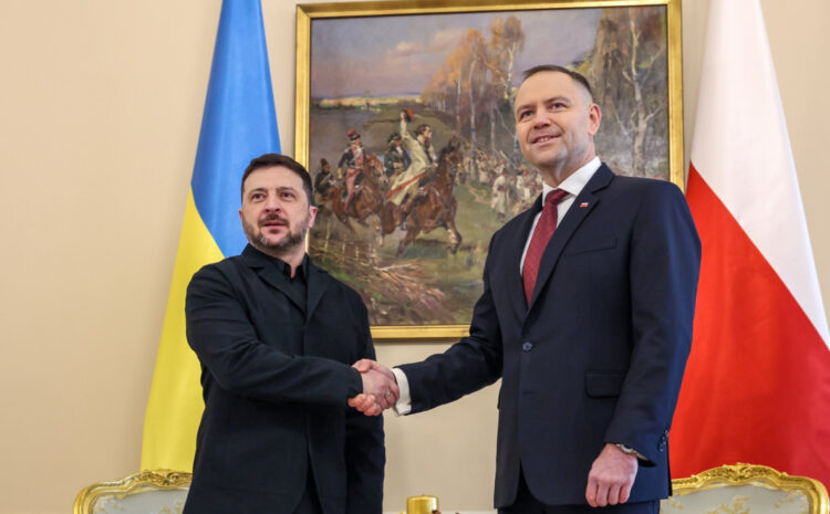  У Навроцкого нашли оправдание, почему у Зеленского отобрали орден, а у Муссолини и Шредера оставили
