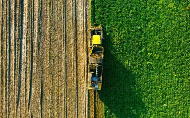  Война нанесла агросектору Украины более $11 млрд прямого ущерба