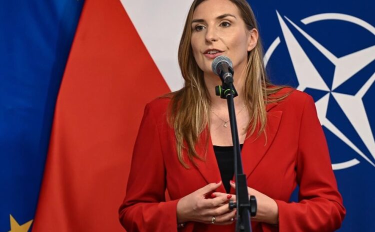  Польша сделала США предложение по ракетам Patriot